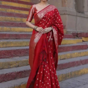 Red Striped Banarasi Pure Silk Saree